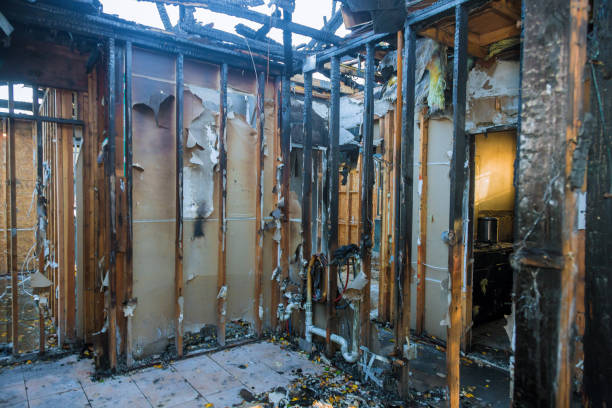 Professional Fire Damage Removal technician working in Middlebury, IN